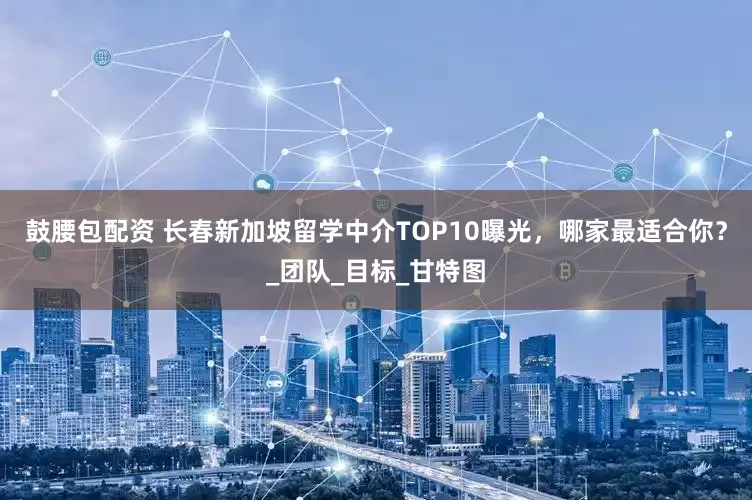 鼓腰包配資 長春新加坡留學中介TOP10曝光，哪家最適合你？_團隊_目標_甘特圖